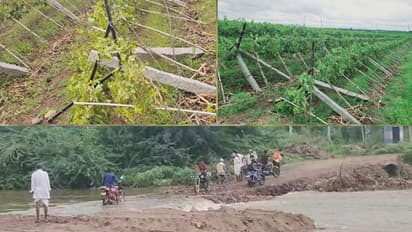 ಬರದ ಊರು ವಿಜಯಪುರದಲ್ಲಿ ಭಾರೀ ಮಳೆ: ಕೊಚ್ಚಿ ಹೋಯ್ತು ಸೇತುವೆ, ನೆಲಕಚ್ಚಿದ ಲಕ್ಷಾಂತರ ಮೌಲ್ಯದ ದ್ರಾಕ್ಷಿ!