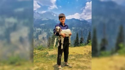 ഐഫോണ് 15 പ്രോ മാക്സ് വരെ തോറ്റു, കുഞ്ഞൻ ഐഫോണിലെടുത്ത ഫോട്ടോയ്ക്ക് ഇന്ത്യക്കാരന് വമ്പൻ പുരസ്കാരം