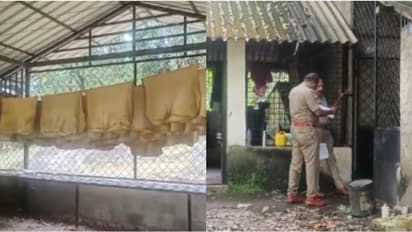 സിസിടിവി ഓഫാക്കി കവർച്ച; മോഷണം പോയത്  400 കിലോ റബ്ബർ ഷീറ്റും 200 കിലോ ഒട്ടുപാലും