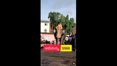 ದಸರಾ ಆನೆಗಳ ತೂಕ ರಿವೀಲ್ ಮಾಡಿದ ಅರಣ್ಯ ಇಲಾಖೆ!