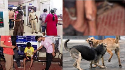തലസ്ഥാനത്ത് തെരുവുനായ ആക്രമണം; നായ കടിച്ചത് 32 പേരെ, പേവിഷബാധയെന്ന് സംശയം, ഡോഗ് സ്ക്വാഡ് തെരച്ചിൽ തുടരുന്നു