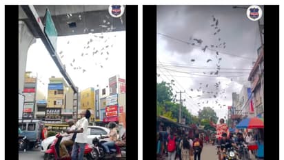 பரபரப்பான சாலையில் ரூபாய் நோட்டுகளை பறக்கவிட்ட யூடியூபர்; லைக்குக்கு ஆசைப்பட்டு கம்பி எண்ணும் நிலை
