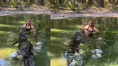 അപാരധൈര്യം തന്നെ; ചീങ്കണ്ണിക്കൊപ്പം ജലാശയത്തിൽ നീന്തിക്കളിച്ചും ഭക്ഷണം നൽകിയും യുവതി