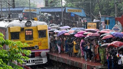 Gujarat on high alert: IMD warns of heavy rains, schools closed in flood-hit districts