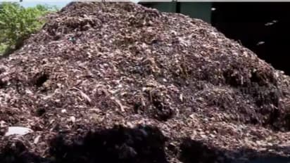 ഞെളിയൻ പറമ്പിലെ മാലിന്യമല; ബയോമൈനിങ്ങിന്റെ പേരിൽ ചെലവഴിച്ച മൂന്നരക്കോടി പാഴായി