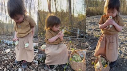 93 മില്ല്യൺ കാഴ്ചക്കാർ, എന്തൊരു ക്യൂട്ടാണിത് എന്ന് സോഷ്യൽ മീഡിയ, വീഡിയോ കാണാം