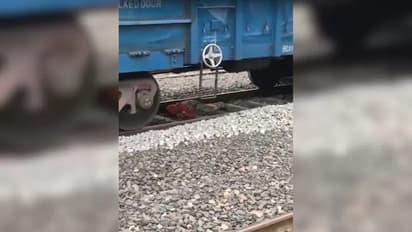 ഞെട്ടിക്കുന്ന വീഡിയോ; ട്രെയിനിനടിയിൽ പെട്ട് യുവതി, പതുങ്ങിക്കിടന്നു, അപകടം കൂടാതെ രക്ഷപ്പെട്ടതിങ്ങനെ