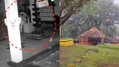ഹെൽമറ്റ് ധരിച്ചെത്തി ക്ഷേത്രത്തിൽ മോഷണം, ഭണ്ഡാരം കുത്തിത്തുറന്ന് പണം കവർന്നു; സിസിടിവി ദൃശ്യം പുറത്ത്