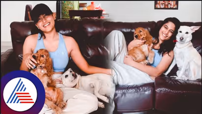 ನಟಿ ನಿಶ್ವಿಕಾ ನಾಯ್ಡು ಇಯರ್ ಫೋನ್ ತಿಂದ ನಾಯಿ; ಆಮೇಲೆ ಏನಾಯ್ತು ನೋಡಿ!