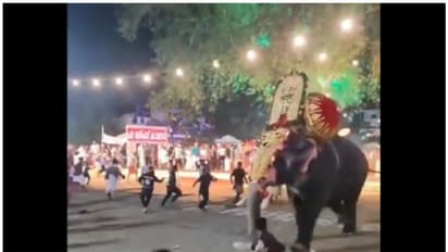 Viral Video exposes Thrissur Pooram elephant clash, eight injured due to safety lapses