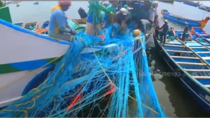 'പൊടിമീനടക്കം കോരിക്കൊണ്ടുപോകുന്നു': ബോട്ടിൽ നിന്നും നിരോധിത വലകൾ പിടിച്ചെടുത്ത് മത്സ്യത്തൊഴിലാളികൾ