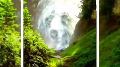 ಈ ಫೋಟೋದಲ್ಲಿ ನಿಮಗೆ ಮೊದಲು ಕಾಣಿಸಿದ್ದೇನು? ಇದು ನಿಮ್ಮ ವ್ಯಕ್ತಿತ್ವ ತೋರಿಸುವ ಚಿತ್ರ!