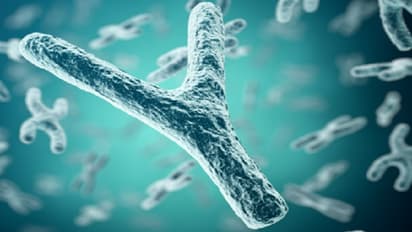 क्या पृथ्वी से गायब हो जाएंगे पुरुष? Y क्रोमोसोम ने बढ़ाई साइंटिस्ट्स की चिंता