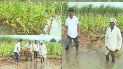 ವಿಜಯಪುರ: ನೀರಲ್ಲಿ ಕೊಚ್ಚಿ ಹೋದ ರೈತರ ಬದುಕು, ಜಮೀನಿಗೆ ನುಗ್ಗಿದ ಕಾಲುವೆ ನೀರು, ಕಂಗಾಲಾದ ಅನ್ನದಾತ..!