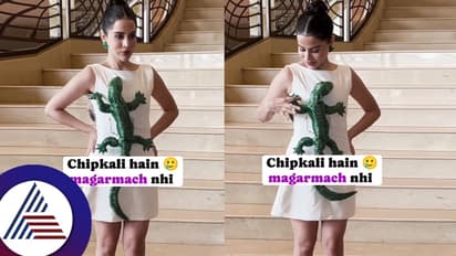 3 ವರ್ಷದಿಂದ ಸೆಕ್ಸೇ ಮಾಡಿಲ್ಲ ಅಂದ ಉರ್ಫಿ ಎದೆ ಮೇಲೆ ಉಡ ಬಿಟ್ಕೊಳೋದಾ? ಕಮೆಂಟಿಗರು ಸುಮ್ನೆ ಇರ್ತಾರಾ? 