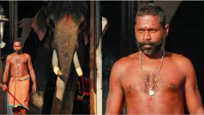 പ്രശസ്ത ആനപാപ്പാൻ ബിനോയ് നിര്യാതനായി