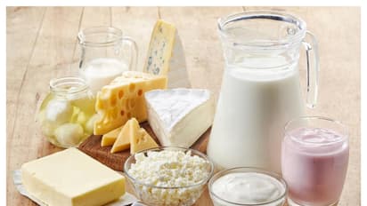 দুগ্ধজাত খাবার খেলেই কি বেড়ে যাবে ডায়াবেটিস? ব্লাড সুগার রোগীদের অবশ্যই জানা উচিত