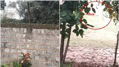 ಬೆಳಗಿನ ವಾಕಿಂಗ್ ಮಾಡುವ ವೇಳೆ 76 ವರ್ಷದ ವೃದ್ಧೆಯ ಮೇಲೆ ಎರಗಿದ 10 ಬೀದಿನಾಯಿ, ಸ್ಥಳದಲ್ಲೇ ಸಾವು!