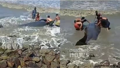 അടിയേറ്റ് കാല്‍ മുറിഞ്ഞിട്ടും പിന്മാറിയില്ല; കരയ്ക്കടിഞ്ഞ ഭീമന്‍ തിമിംഗലത്തെ രക്ഷിച്ച് മത്സ്യത്തൊഴിലാളികള്‍