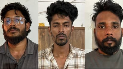 കാന്തല്ലൂരിൽ വനമേഖലയിലെ റിസോർട്ടിൽ മലപ്പുറത്തെ 3 പേർ, പൊലീസെത്തിയപ്പോൾ നായ്ക്കളെ അഴിച്ചുവിട്ടു