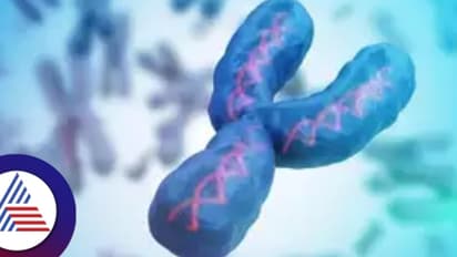 SHOCKING रिसर्चः ...तो क्या भविष्य में पैदा नहीं होंगे बेटे?