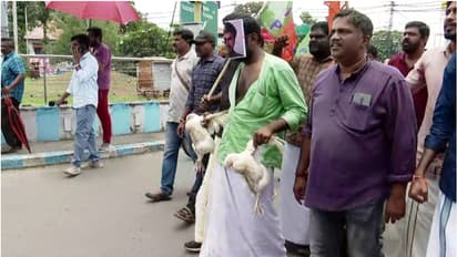 കോഴികളുമായി മുകേഷിന്റെ ഓഫീസിലേക്ക്; രാജിയാവശ്യപ്പെട്ട് ചിന്നക്കടയിൽ വേറിട്ട പ്രതിഷേധവുമായി യുവമോർച്ച