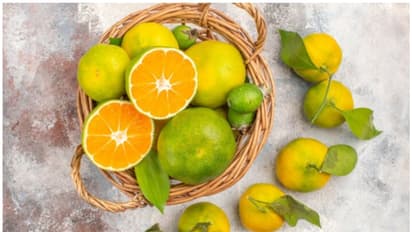 5 Foods to avoid consuming with milk for better health