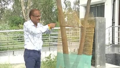 ಚಾಮರಾಜನಗರ: ಪರಿಸರ ಪ್ರೇಮಿ ವೆಂಕಟೇಶ್ ನೆಟ್ಟ ಗಿಡಗಳಿಗೆ 1.87 ಲಕ್ಷ ನರೇಗಾ ಬಿಲ್?