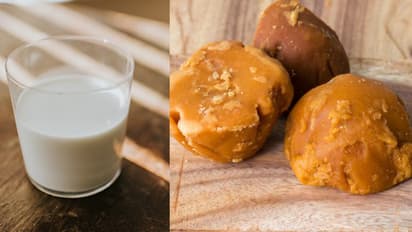 Better sleep to boosted immunity: 5 surprising benefits of drinking milk with jaggery