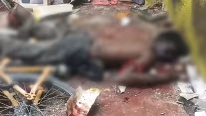 Country-made explosive kills 18-year-old boy in Hoskote, Bengaluru outskirts; probe underway