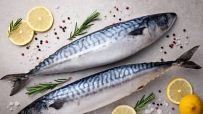 கானாங்கெளுத்தி மீன் சாப்பிடுவதால் இவ்வளவு நன்மைகளா?