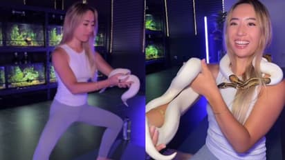 എന്തൊക്കെയാണീ കാണുന്നത്? പാമ്പുകൾക്കൊപ്പം യോഗയെന്ന് യുവതി, രൂക്ഷമായി വിമർശിച്ച് നെറ്റിസൺസ്