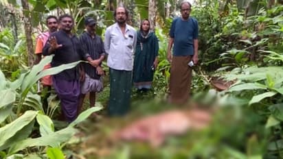 രാവിലെ 9.30ന് കിണറില്‍ അസാധാരണ ശബ്ദം;  കൗൺസിലറും നാട്ടുകാരും എത്തി, വെടിവച്ചിട്ട് കാട്ടുപന്നിയെ പുറത്തെടുത്തു