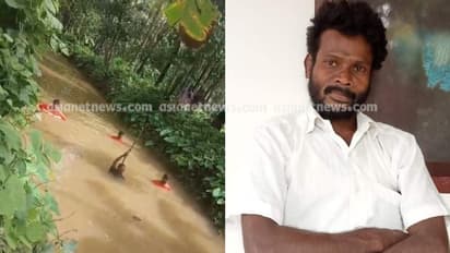 ഒഴുകിവരുന്ന തേങ്ങകള്‍ പെറുക്കാൻ തോട്ടിലിറങ്ങിയ യുവാവിനെ കാണാതായി