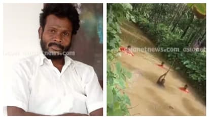 തൃശ്ശൂരിൽ തേങ്ങ പെറുക്കാൻ തോട്ടിലിറങ്ങി, കാണാതായ യുവാവിന്റെ മൃതദേഹം കണ്ടെത്തി