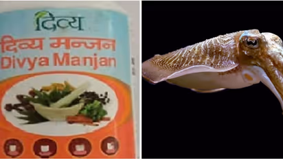 ആയുർവേദിക് പൽപ്പൊടിയിൽ സെപിയ അഫിസിനാലിസ്; പത‌ഞ്ജലിക്കെതിരെ പരാതി, രാംദേവിന് ദില്ലി ഹൈക്കോടതിയുടെ നോട്ടീസ്