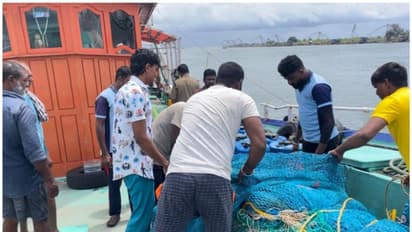 12 സെന്റിമീറ്ററിൽ താഴെ വലിപ്പമുള്ള 6800 കിലോ കിളിമീൻ ബോട്ടിൽ നിന്ന് പിടിച്ചു; 7.75 ലക്ഷം പിഴ ചുമത്തി