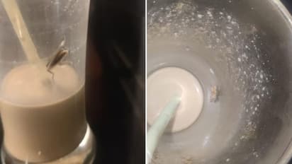 SHOCKING! Customer finds cockroach in cold coffee at Malad cafe in Mumbai; see viral photo
