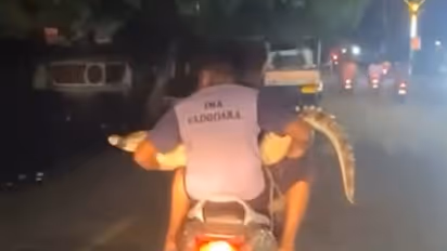 ವಡೋದರಾ ಪ್ರವಾಹ: ಮೊಸಳೆಯೊಂದಿಗೆ ಸ್ಕೂಟರ್ನಲ್ಲಿ ಯುವಕರ ತ್ರಿಬಲ್ ರೈಡ್: ವೀಡಿಯೋ ವೈರಲ್