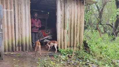 ಕುದುರೆಮುಖದಲ್ಲೊಬ್ಬ ಪ್ರಾಣಿಪ್ರಿಯ, ಕಾಡಿನ ಮಧ್ಯೆ ಏಕಾಂಗಿ ಬದುಕು: 20 ವರ್ಷಗಳಿಂದ ಕಾಡಂಚಿನಲ್ಲೇ ವಾಸ..!