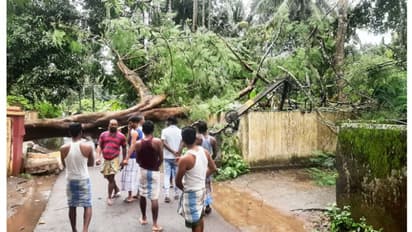 കനത്ത മഴയും കാറ്റും; റോഡിന് കുറുകെ വൻമരം കടപുഴകി വീണ് മതിൽ തകർന്നു, വൈദ്യുത പോസ്റ്റുകളൊടിഞ്ഞ് നാശനഷ്ടം
