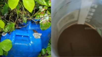 പത്തനംതിട്ടയിലെ എസ്റ്റേറ്റിൽ എക്സൈസ് റെയ്ഡ്; 198 ലിറ്റർ കോടയും ചാരായവും പിടികൂടി, എസ്റ്റേറ്റ് മാനേജർ അറസ്റ്റിൽ