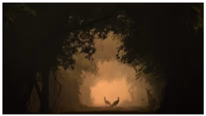 പ്രഭാതനടത്തത്തിനിടെ ഒരു ക്ലിക്ക്; അഞ്ചാം ക്ലാസുകാരിക്ക് അന്താരാഷ്ട്രാ വന്യജീവി ഫോട്ടോഗ്രാഫർ ഓഫ് ദ ഇയർ അവാർഡ് 