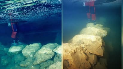 किस देश में मिला 5600 साल पुराना डूबा हुआ पुल और रहस्यमयी बकरी का कंकाल?