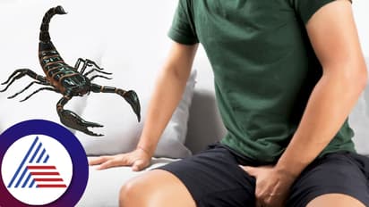 ಹೋಟೆಲ್‌ನಲ್ಲಿ ಪುರುಷನ ಖಾಸಗಿ ಭಾಗಕ್ಕೆ ಕಚ್ಚಿದ ಚೇಳು; ನನ್ನ ಜೀವನವೇ ಹಾಳಾಯ್ತು ಅಂತ ಕಣ್ಣೀರಿಟ್ಟ ಪತ್ನಿ!