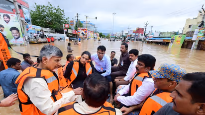  ఛీ ఛీ...  ఈ వరదల్లోనూ జగనన్న భజనా!: రోజాకు గట్టిగానే ఇచ్చిపడేస్తున్నారుగా