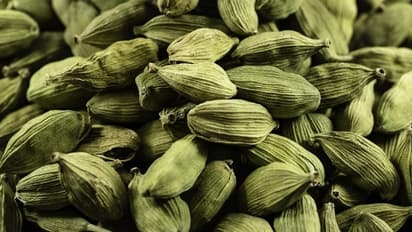 சாப்பிட்ட பின் ஏலக்காய் சாப்பிடுவதால் இவ்வளவு நன்மைகளா?