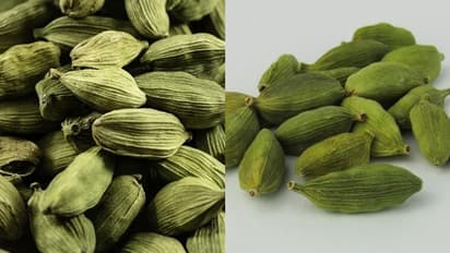 Digestion to Detoxification: 7 health benefits of chewing Cardamom post meal