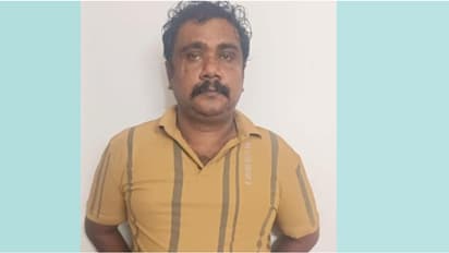 പൊലീസിന്റെ സംശയം ശരിയായി, 'ഗുലാബി'യുടെ തട്ടുകട എല്ലാത്തിനും മറ, വിൽക്കുന്നത് ഭക്ഷണമല്ല, കഞ്ചാവ്