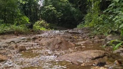 ആകെയുള്ളത് മൺപാത, റോഡിനായി അഞ്ചുരുളിക്കാർ കാത്തിരിപ്പ് തുടങ്ങിയിട്ട് പതിറ്റാണ്ടുകൾ